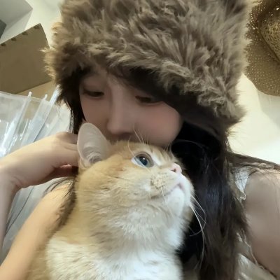 功夫小兔侠